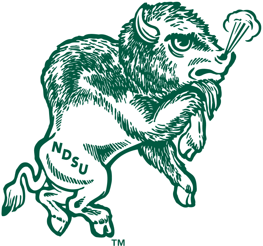 North Dakota State Bison 1972-1999 Primary Logo iron on transfers for T-shirts